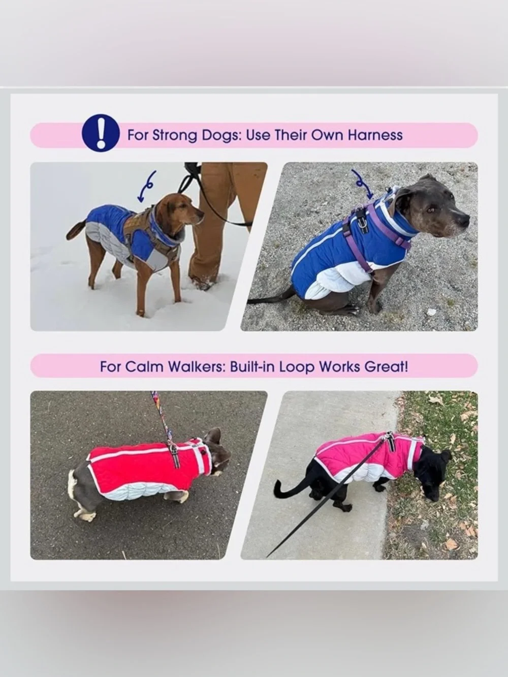 Waterproof XL Dog Winter Jacket With Harness Built In-Reflective 968-3